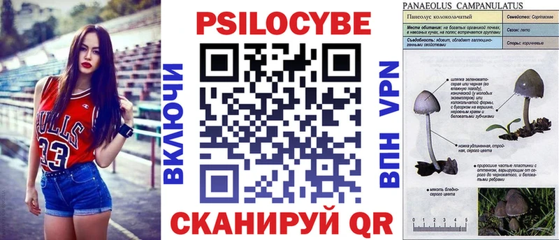 Купить закладки  Семилуки  Псилоцибиновые грибы ЛСД 